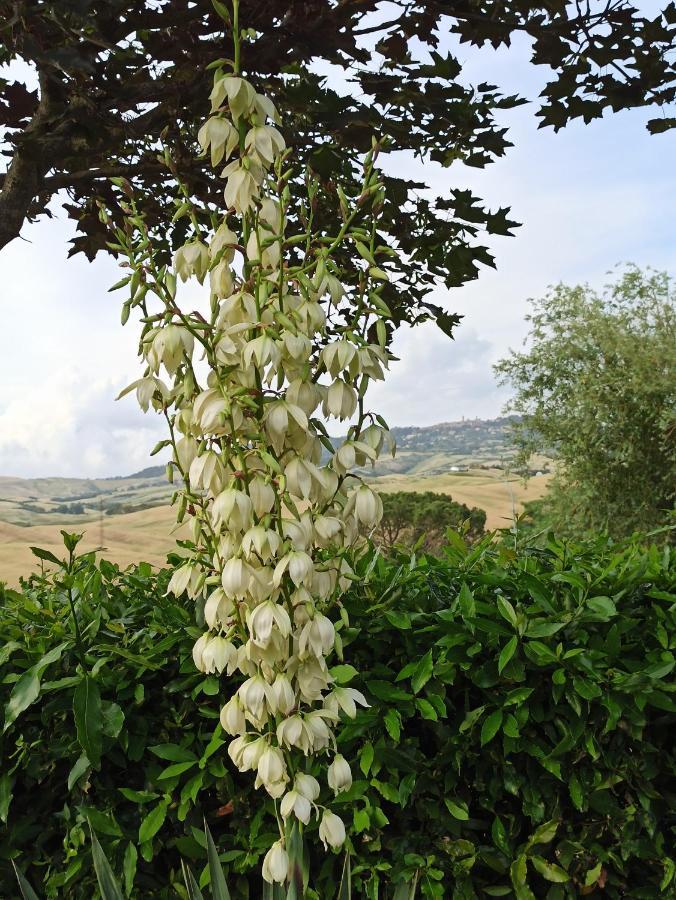Agriturismo La Spiga Монтекатини Вал ди Чечина Екстериор снимка