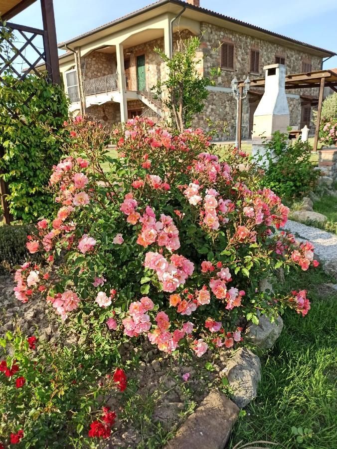 Agriturismo La Spiga Монтекатини Вал ди Чечина Екстериор снимка