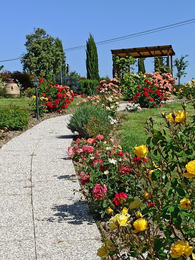 Agriturismo La Spiga Монтекатини Вал ди Чечина Екстериор снимка